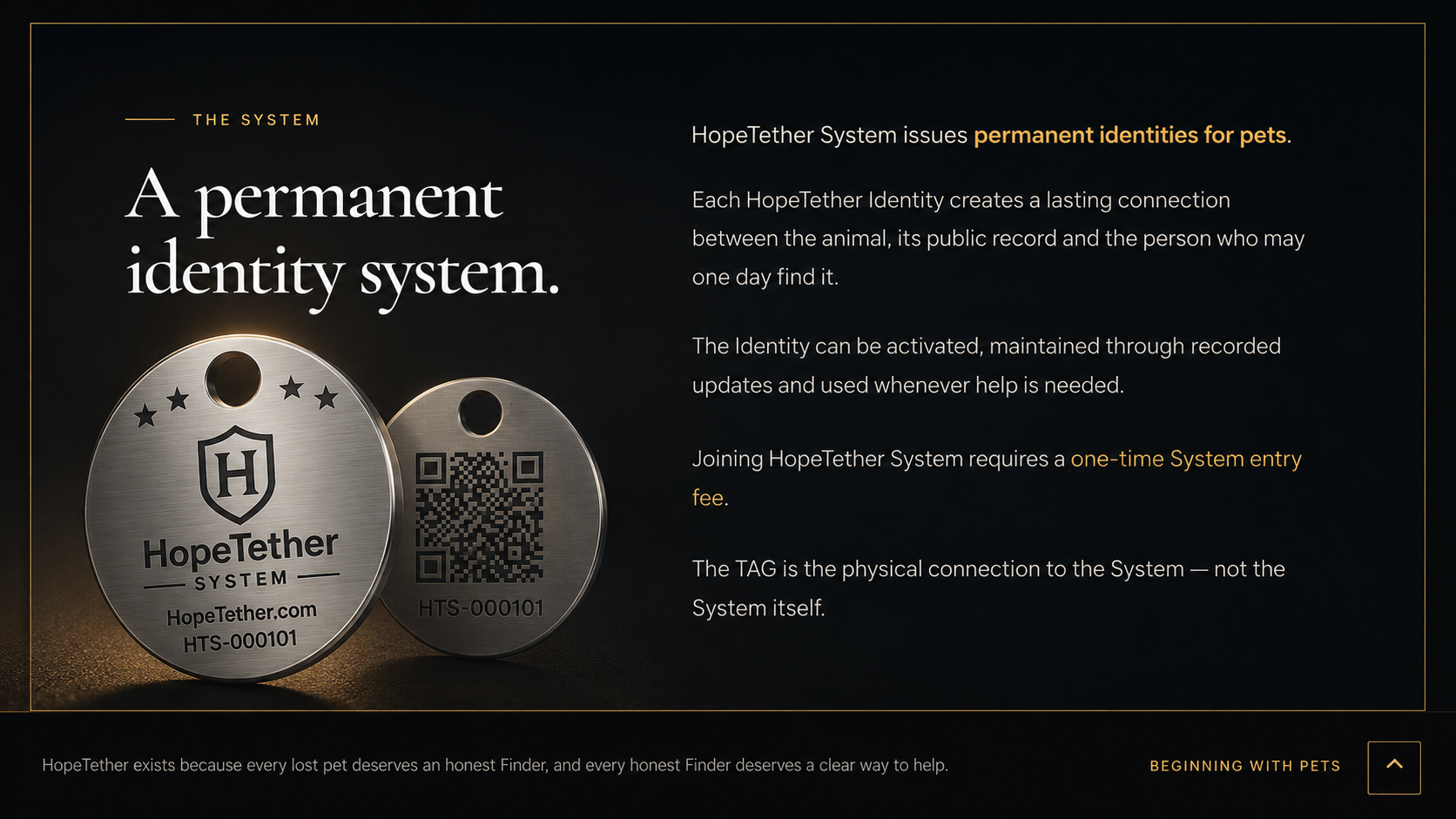 HopeTether System — a permanent identity system, with the real silver HopeTether Tag integrated into the System definition